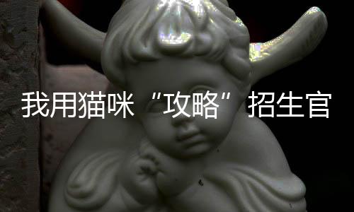 我用猫咪“攻略”招生官、拿下4张顶级院校动画offer＋173W奖学金！