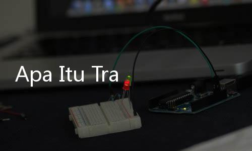Apa Itu Tradisi Lebaran Ketupat di Bulan Syawal?
