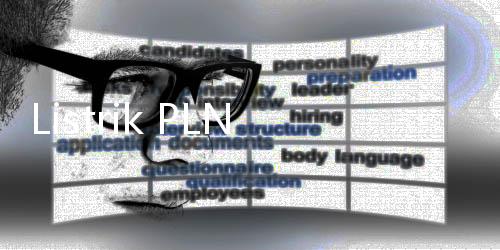 Listrik PLN Berhasil Jangkau 99,82% Desa di Indonesia, 89 Masih Belum 